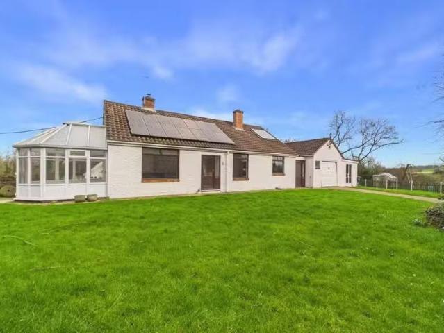 House for rent
