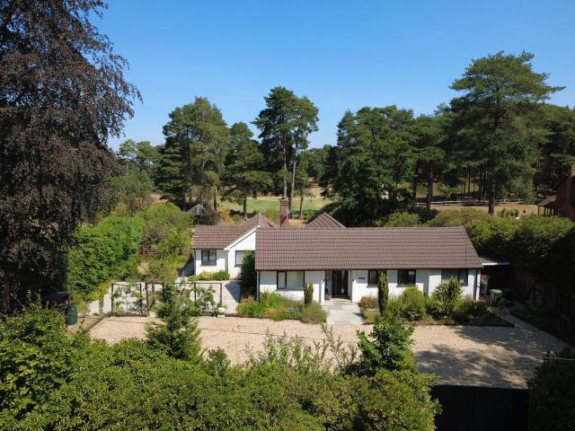 Bungalow for sale in The Sands, Guildford