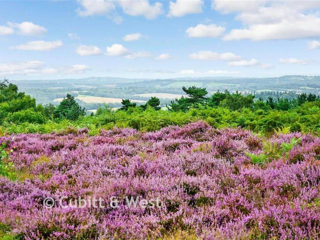 Bungalow for sale in Uckfield, Cross In Hand