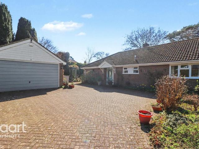 Bungalow for sale in Bolton Low Houses, Hampshire