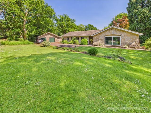 Bungalow for sale in Somerset