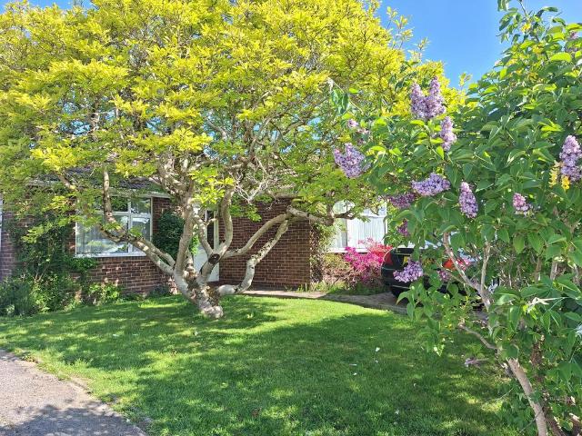 Bungalow for sale in Winkfield