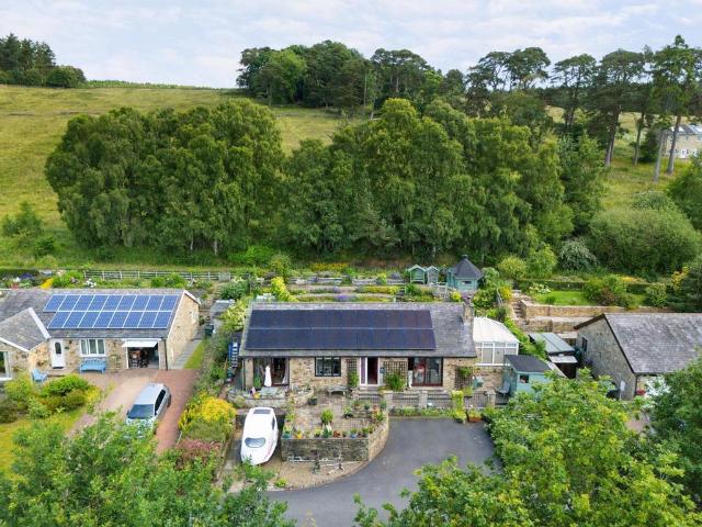 Bungalow for sale in Northumberland