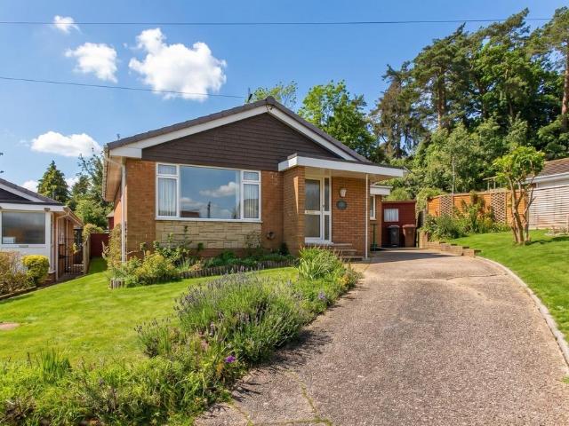 Bungalow for sale in Newton St Cyres, Devon