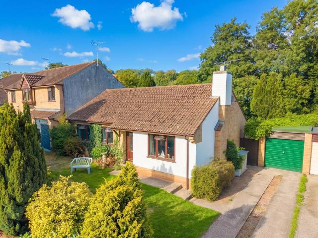 Bungalow for sale in Newton St Cyres, Devon