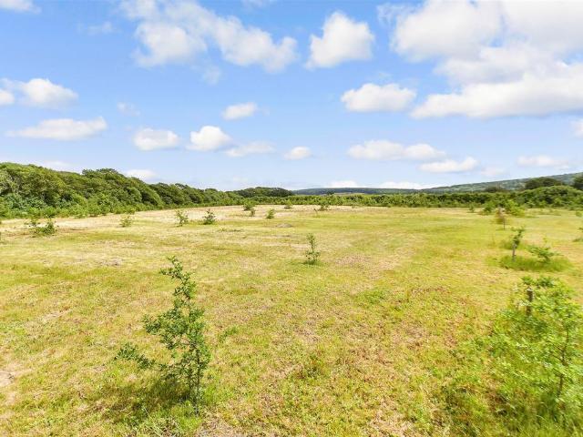 Bungalow for sale in Newbridge, Calbourne