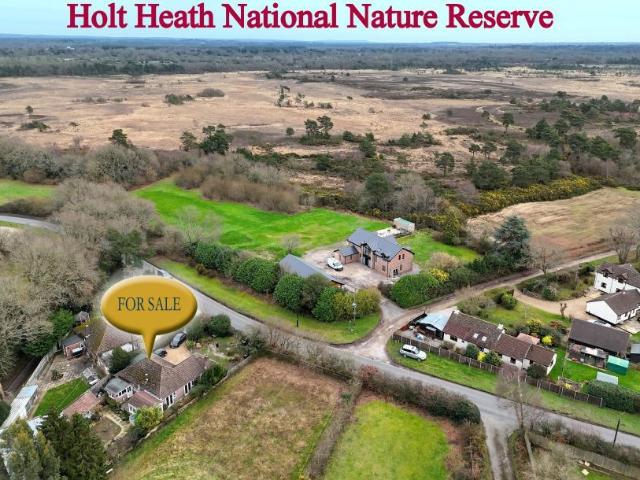 Bungalow for sale in East Dorset