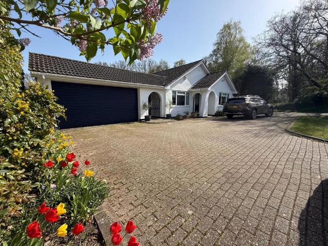 Bungalow for sale in Verwood, East Dorset