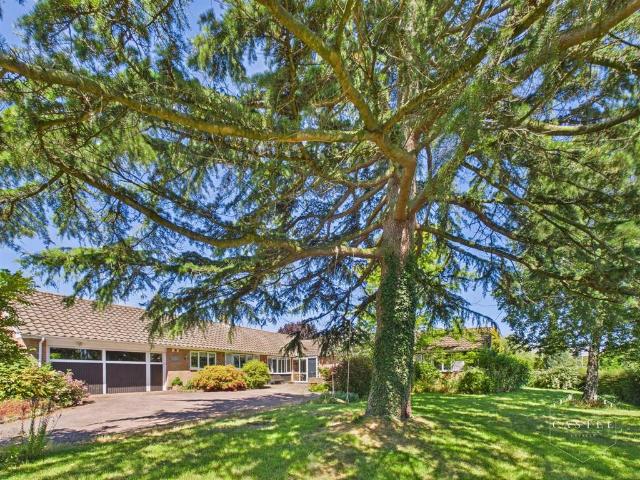 Bungalow for sale in Lash Hill, Barton