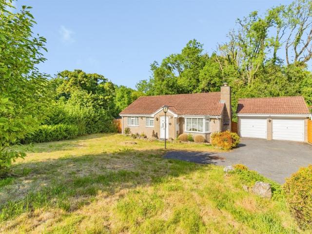 Bungalow for sale in Bridford, Devon