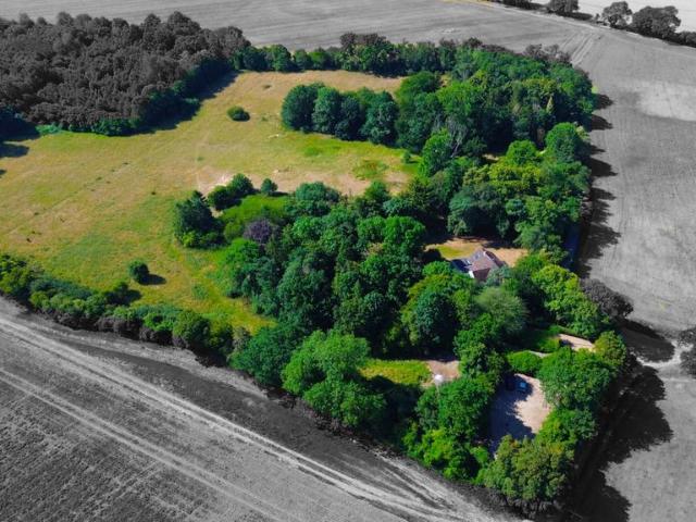Bungalow for sale in Chipping Hill, Essex