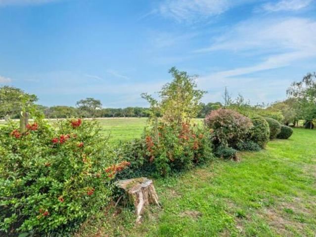 Bungalow for sale in Chartham, Canterbury