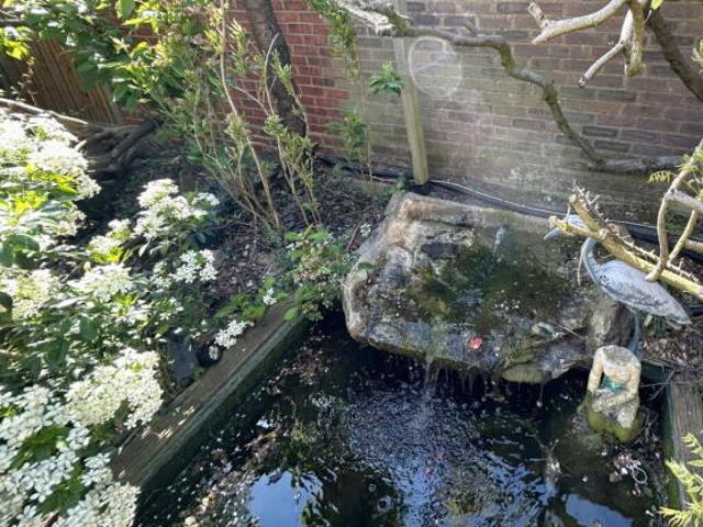 Bungalow for sale in Spring Park, Luton