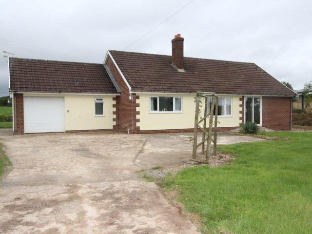 Bungalow for rent in Newton St Cyres, Devon