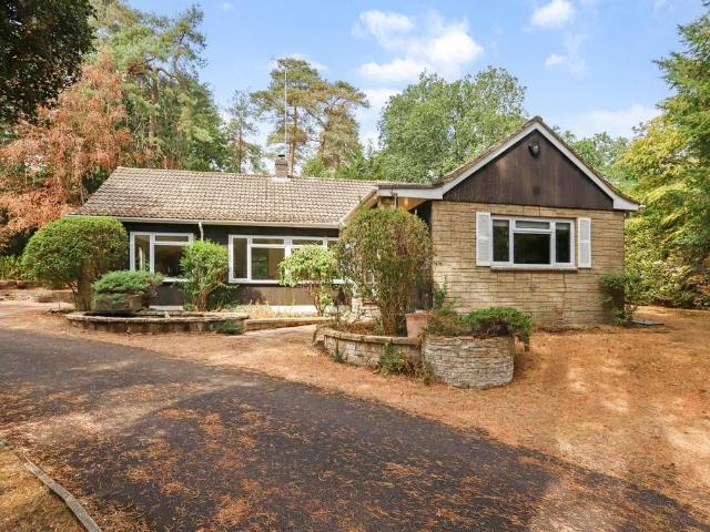 Bungalow for rent in Fole, Surrey