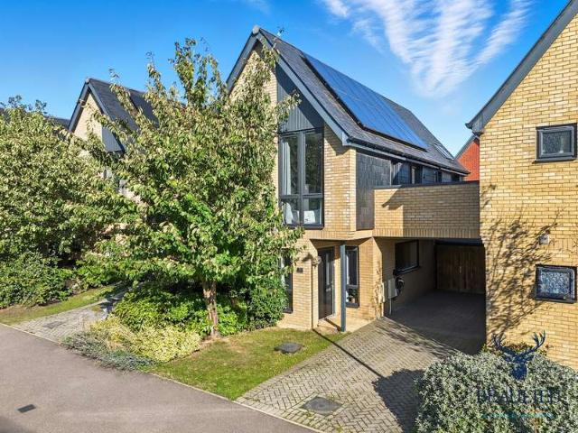 Farm for sale in Channels, Chelmsford