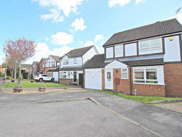 Farm for sale in Esh