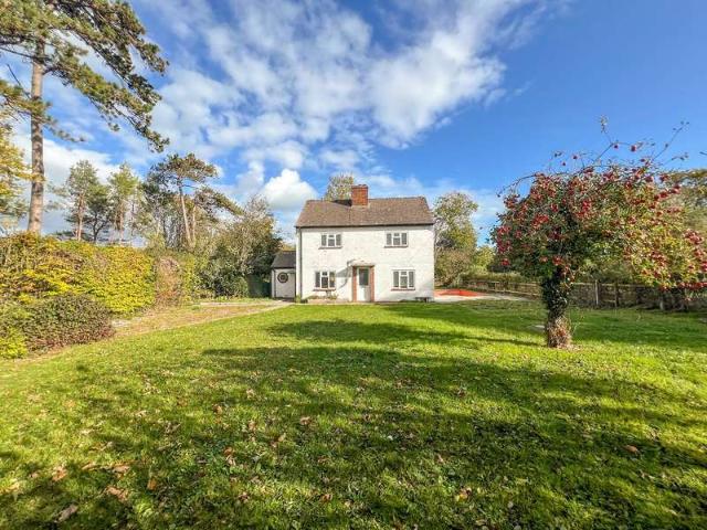 Farm for sale in Street, Somerset