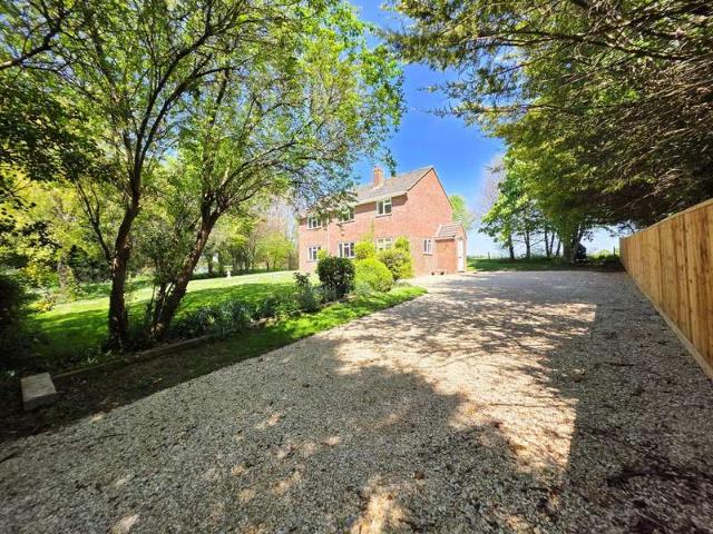 Farm for rent in Tarrant Hinton, Dorset