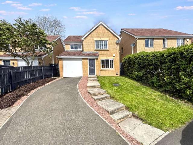 Farm for sale in Delves Lane, Consett