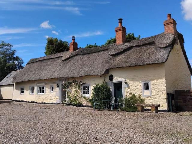 Farm for sale