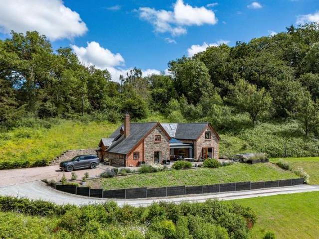 Farm for sale