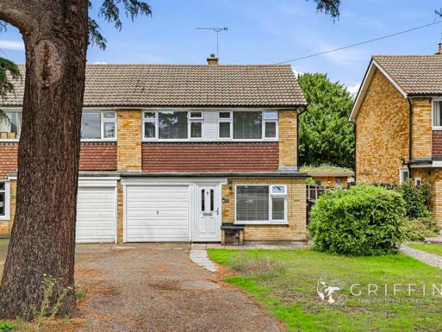 Farm for sale in Orsett, Essex