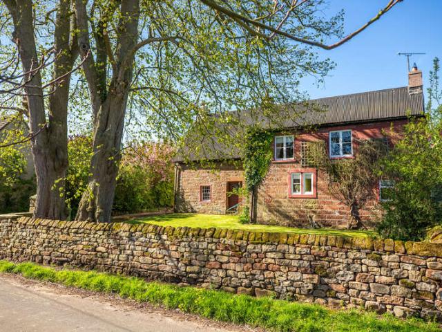 Farm for sale