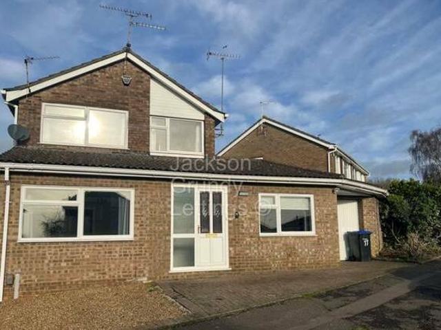 House for rent
