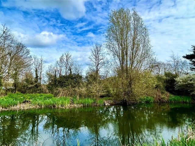 House for sale in Strode, Devon