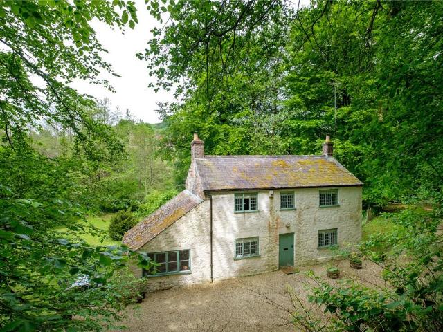 House for sale in Stoke Abbott, East Dorset