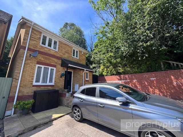 House for sale in Falcon Lodge, Wales