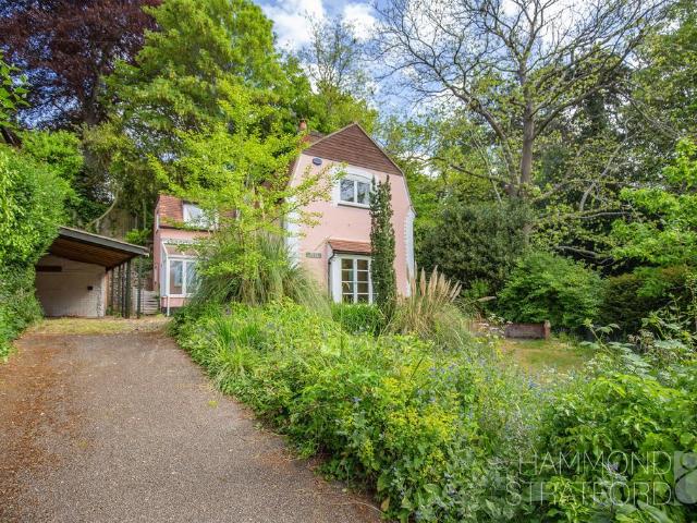 House for sale in Thorpe Hamlet, Norwich