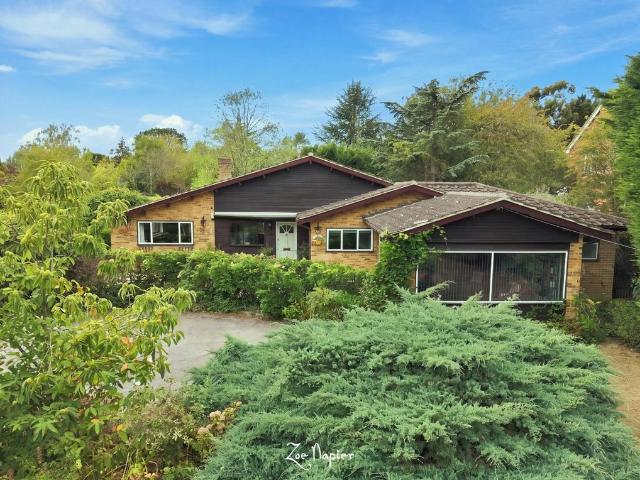 House for sale in Bicknacre, Chelmsford