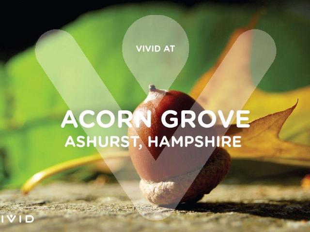 House for sale in Ashurst Bridge, Hampshire