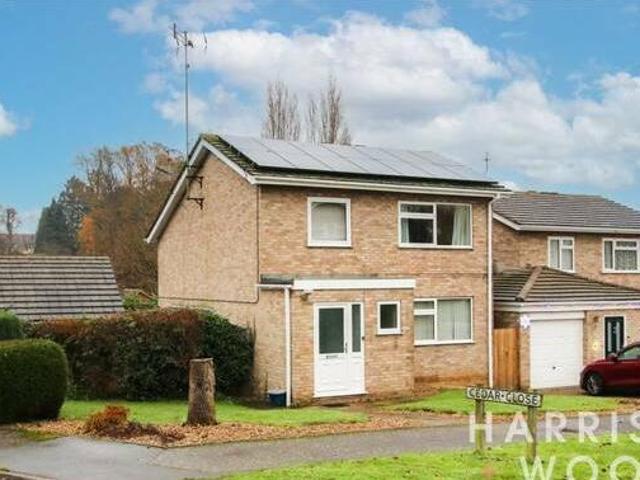 House for rent