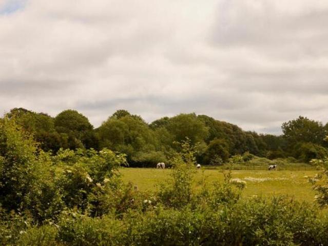 Farm for sale in Kent