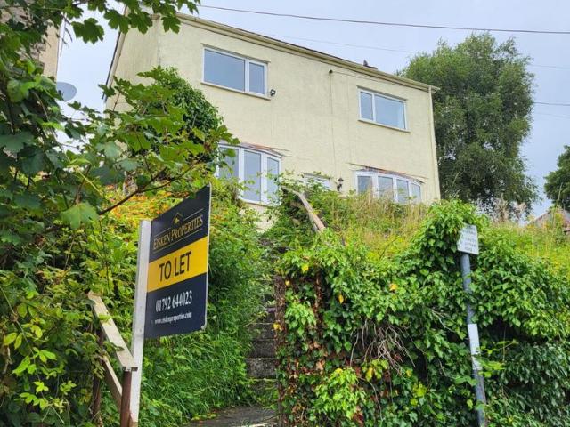 House for rent in Pontardawe, Trebanos