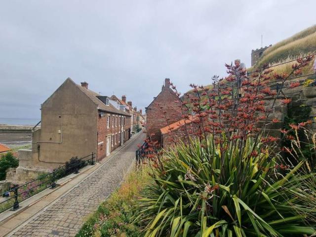 Cottage for rent in Whitby, North Yorkshire