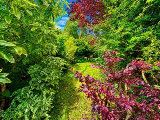 Cottage for sale in Hollingdean, Brighton & Hove