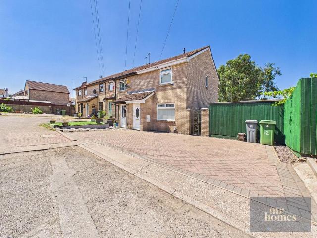 House for sale in Falcon Lodge, Wales