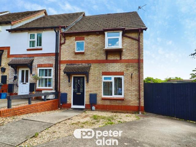 House for sale in Falcon Lodge, Wales