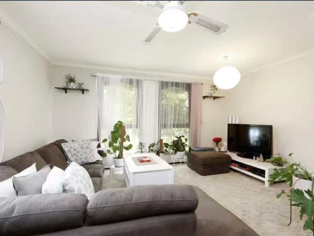 House for rent in Valley View, Melbourne