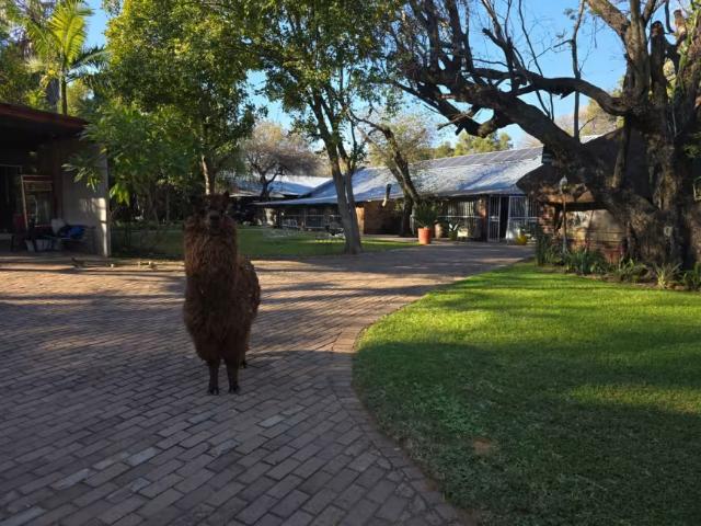 Farm for sale in Bela-Bela, Bela Bela Local Municipality