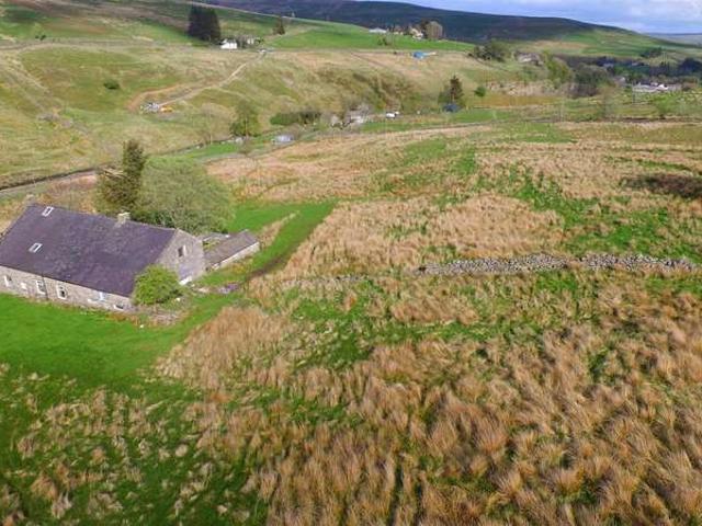 Farm for sale