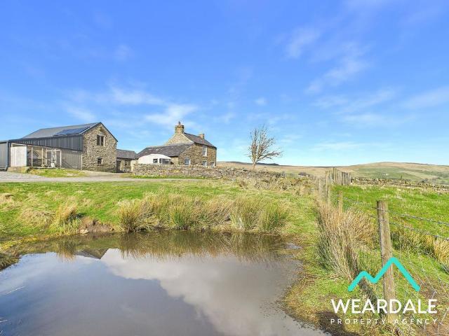 House for sale in Wearhead