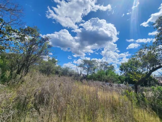 Farm for sale