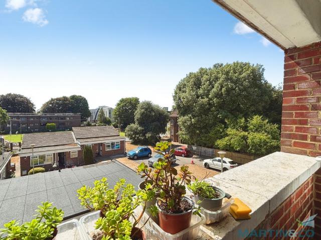 Apartment for rent in South Ashford, Bridgefield
