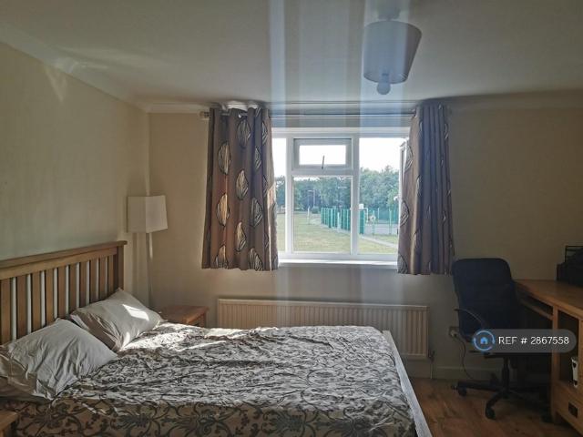 Room for rent in Slough