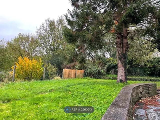 Apartment for rent in Wales